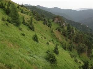 lokalita