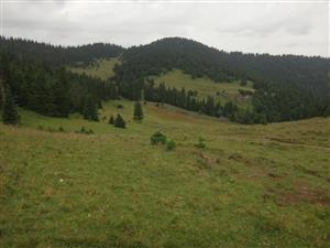 lokalita