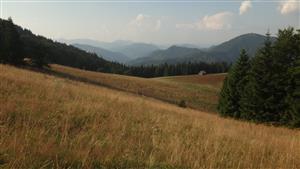 lokalita