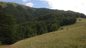 lokalita