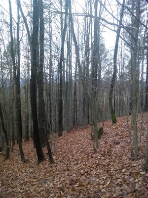 20151121_113227.png