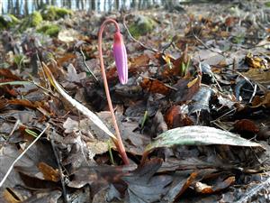 20160309_090711.png