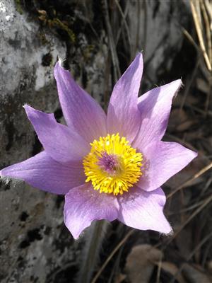 20160311_132643.png