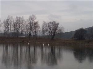 foto labute