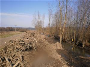 Pohľad na časť odstránených koreňov a nadzemnej časi stromov z brehov potoka