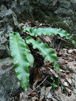 20160323_120555.png