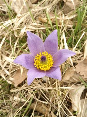 20160330_131900.png