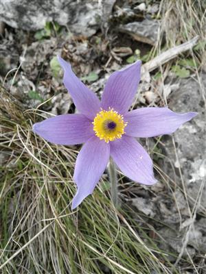 20160331_093903.png
