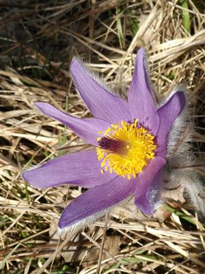 20160406_095823.png