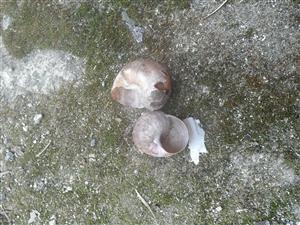 20160412_105805.png