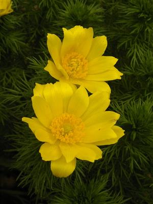 20160414_102947.png