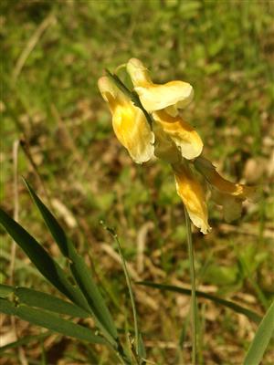 20160420_090148.png