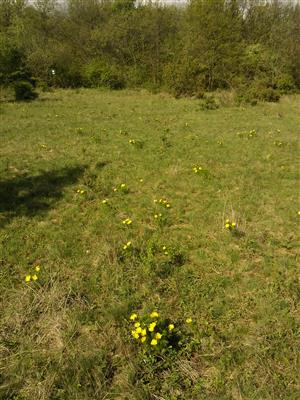 20160420_094430.png