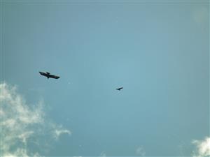 skalák_Ponicka Lehotka