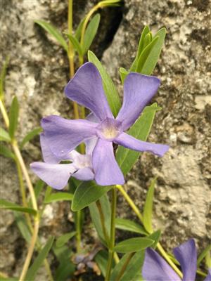 20160504_103812.png