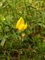 20160504_123735.png