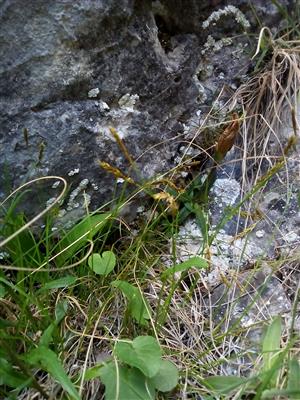 20160531_120920.png
