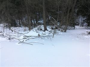 IMG_20161207_110636.jpg
