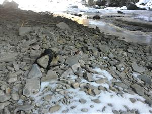 IMG_20161207_114520.jpg