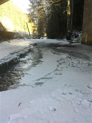 20161229_131904.png