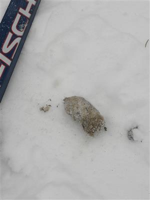 20170125_105450.png