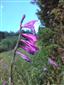 20170716_150830.png