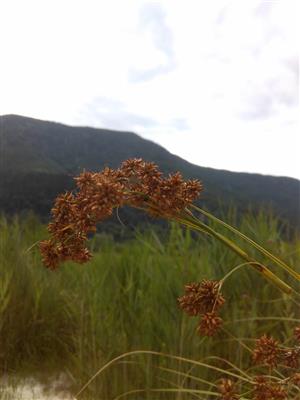 20170716_131032.png