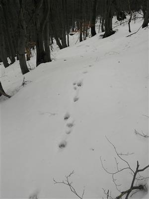 20180110_100323.png