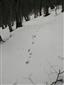 20180110_100323.png