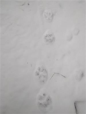 20180117_121427.png