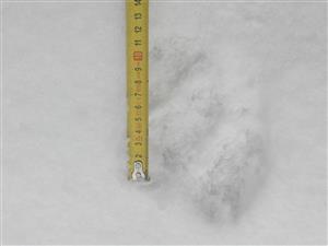 20180117_133752.png