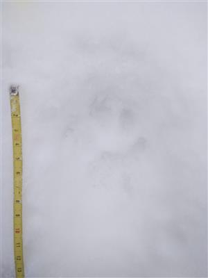 20180120_093609.png