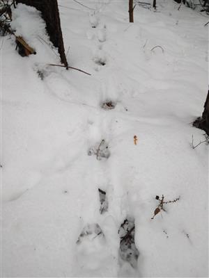 20180127_144614.png