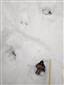20180127_134249.png
