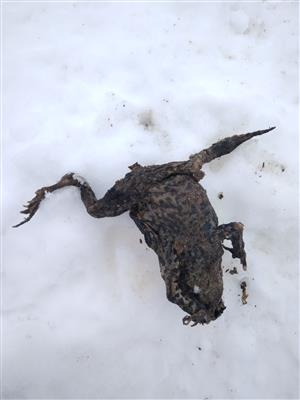 20180127_104224.png