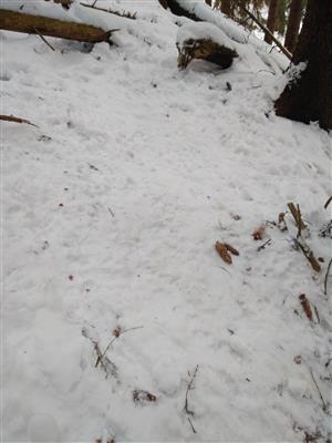 20180126_102849.png