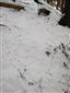 20180126_102849.png
