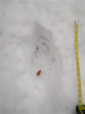 20180126_102950.png