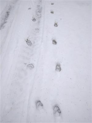 20180131_122102.png