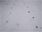 20180131_113108.png