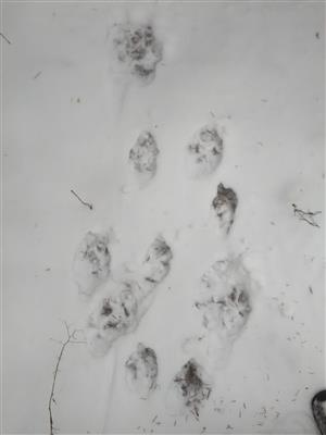 20180211_143126.png