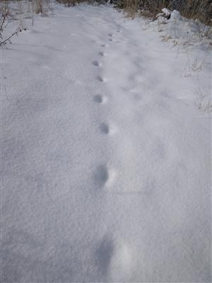 20180217_121254.png