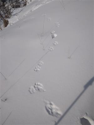 20180222_115127.png