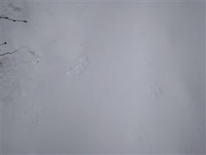 20180222_090838.png