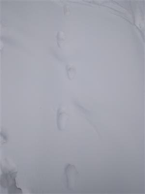 20180222_082644.png