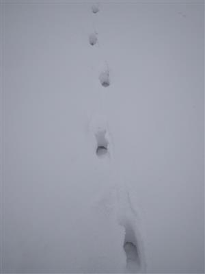20180221_114024.png