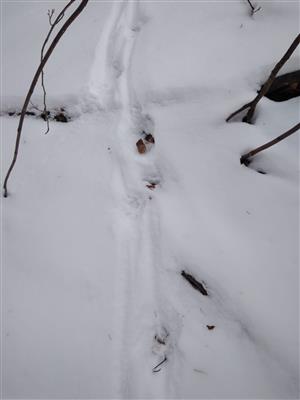 20180224_113919.png