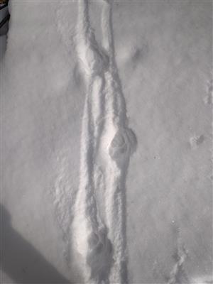 20180224_113955.png