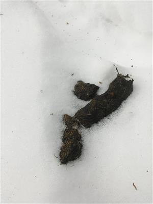 20180227_122226.png
