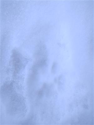 20180228_121948.png
